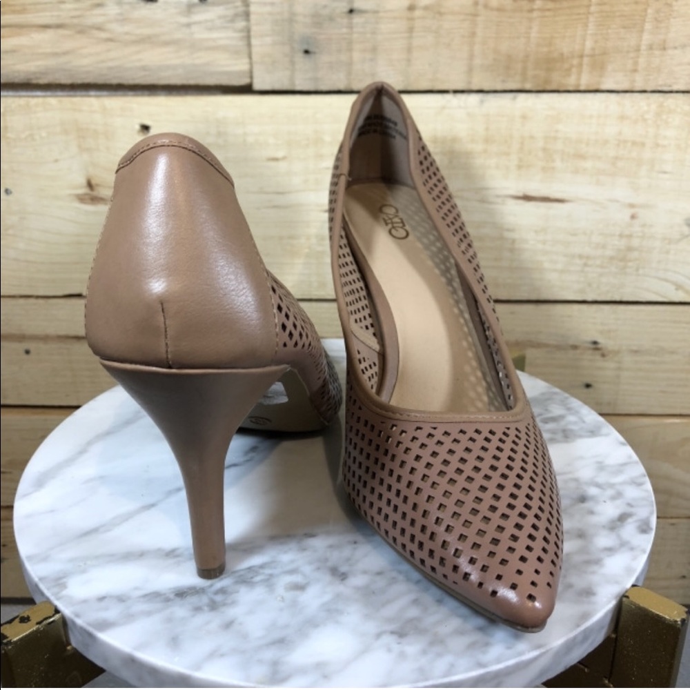 Cato- Tan Heel